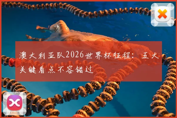 澳大利亚队2026世界杯征程:五大关键看点不容错过