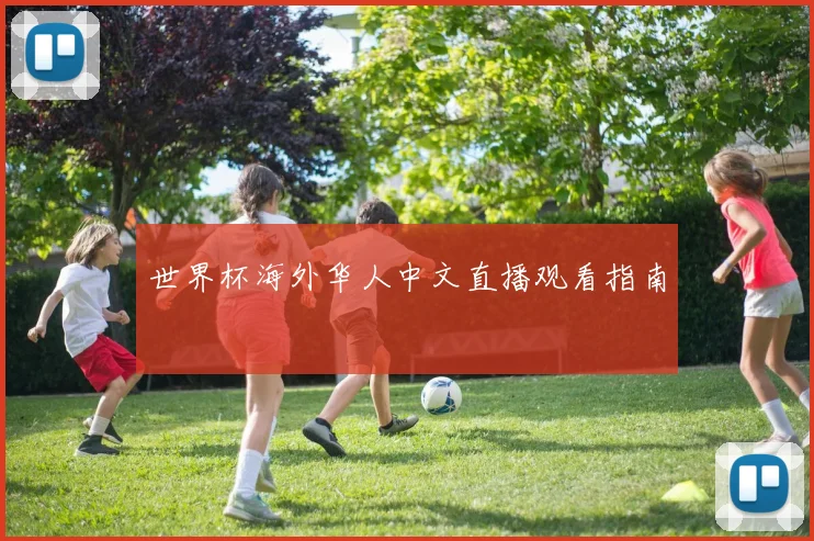 世界杯海外华人中文直播观看指南